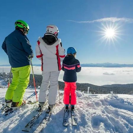 Studio Chaleureux Au Depart Des Sentiers Et Pistes De Ski Lajoux Ngoại thất bức ảnh