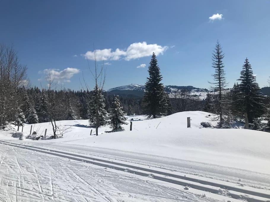 Studio Chaleureux Au Depart Des Sentiers Et Pistes De Ski Lajoux Ngoại thất bức ảnh
