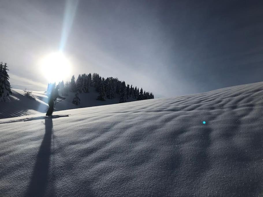 Studio Chaleureux Au Depart Des Sentiers Et Pistes De Ski Lajoux Ngoại thất bức ảnh