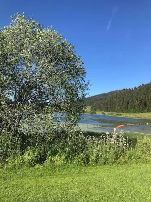 Studio Chaleureux Au Depart Des Sentiers Et Pistes De Ski Lajoux Ngoại thất bức ảnh
