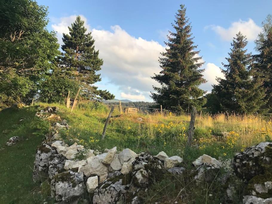 Studio Chaleureux Au Depart Des Sentiers Et Pistes De Ski Lajoux Ngoại thất bức ảnh