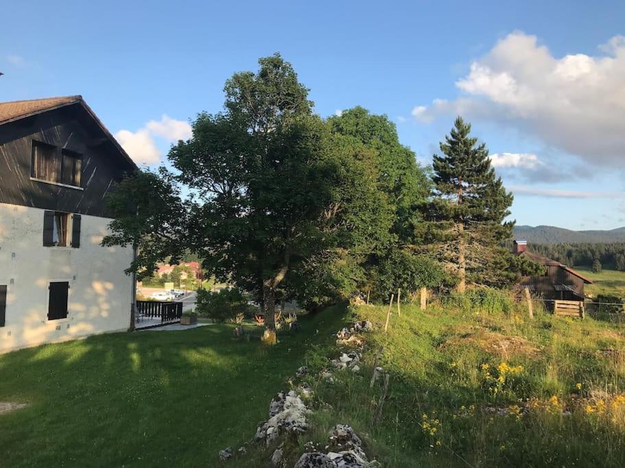 Studio Chaleureux Au Depart Des Sentiers Et Pistes De Ski Lajoux Ngoại thất bức ảnh